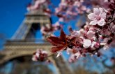 Parisian Spring