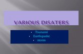 Various Disasters