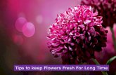 Tips to keep flowers fresh for long time