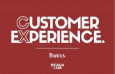 Customer Experience Basics.