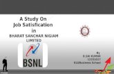 Job Satisfaction In BSNL