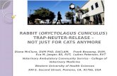 Rabbit Trap Neuter Release - Not Just for Cats Anymore