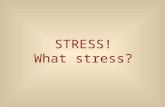 Stress - What Stress!!