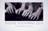 2013 digital footprint: UNDP in Europe and Central Asia
