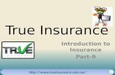 True insurance - 8