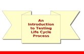 Test Life Cycle