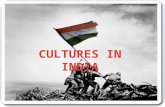 Cultures of india