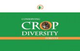 Building a Global System for Crop Diversity Conservation