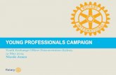 Young Professionals Campaign