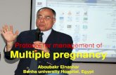 Multiple pregnancy: Aboubakr Elnashar