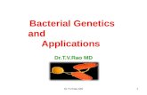 Bacterial genetics and applications