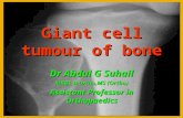 Giant cell tumors of bone