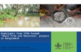 Highlights from IFAD funded "Small Fish and Nutrition" project in Bangladesh