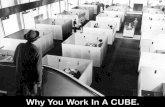 CUBED: Where Did Your Cubicle Come From?