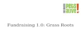Grass roots fundraising