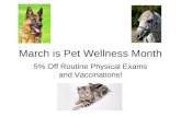 Pet wellness month