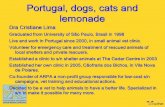 ICAWC 2013 - Portugal, Dogs, Cats and Lemonade - Cristiane Lima