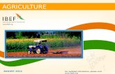 Agriculture Sector Report _  August 2013