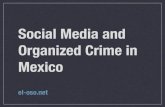 Social Media and Organized Crime in Mexico