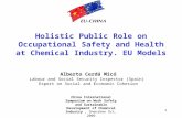 Holistic public role osh chemical eu acm 280909