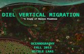 Diel Vertical Migration - "A Study of Marine Plankton"