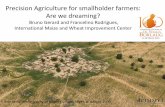 Precision Agriculture for smallholder farmers:  Are we dreaming?