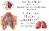 Pulmones Pleura y Diafragma Final