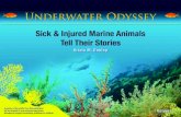 Underwater Odyssey - "Sick & Injured Marine Animals Tell Their Stories"