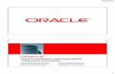 Cloud Consolidation with Oracle (RAC) - How much is too much?