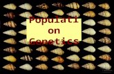 Population genetics with qs