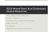 2013 Wheat Stem Rust Outbreaks: Global Response
