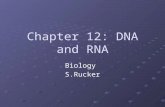 DNA Pre-AP 2013