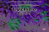 Lychee Specialty Crop
