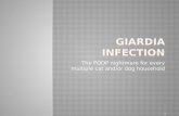Giardia Infection