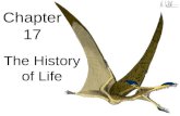 Biology - Chp 17 - History Of Life - PowerPoint