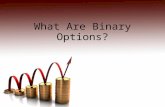 What are binary options