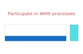 Participate in whs processes week 12