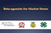 Beta-agonists for Market Steers