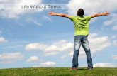 Life without stress - The Ayurvedic Wellness Center