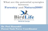 Birdlife forestry NATURA2000
