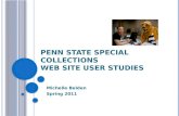 Website User Studies
