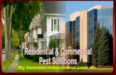 Complete pest control service in New South Wales, Australia