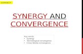 Media convergence and synergy