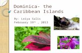 Dominica: the Caribbean Islands ( Leiya Salis)