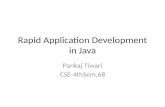 Rapid application development in java