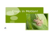 Frogs in Motion - teacher powerpoint