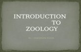 Introduction & branches of zoology