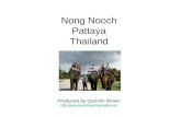 Nong Nooch tropical gardens