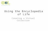 Using EOL: Creating a Virtual Collection