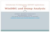 Introduction to asp.net win dbg debugging